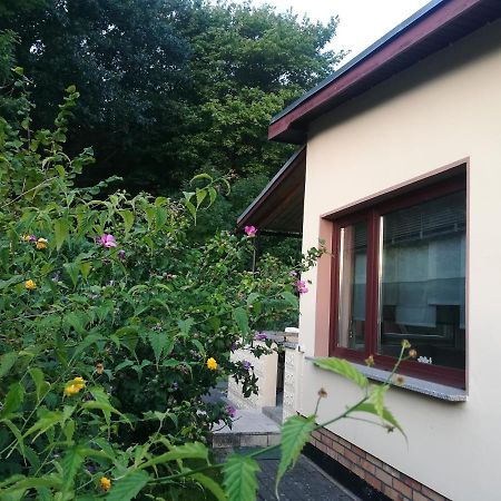 Ferienhaus Am Wald Loissin Exterior photo