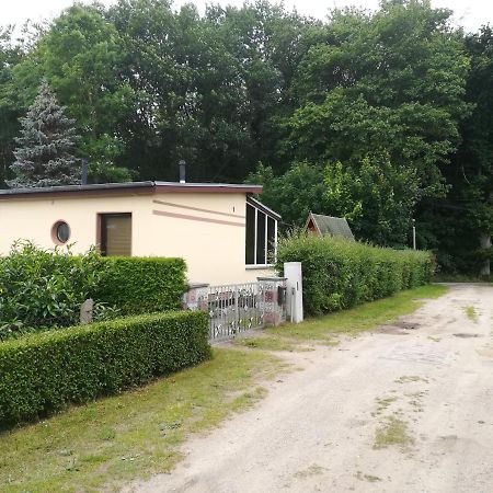 Ferienhaus Am Wald Loissin Exterior photo